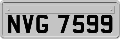 NVG7599