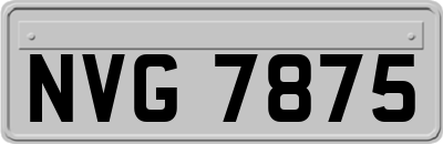 NVG7875