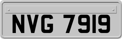 NVG7919