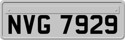 NVG7929