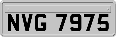 NVG7975