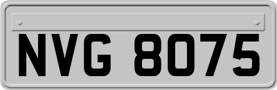 NVG8075