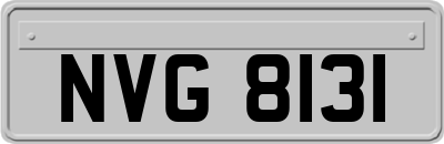 NVG8131