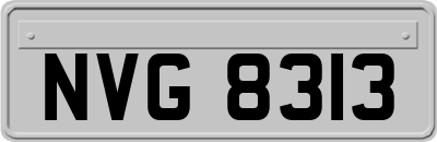 NVG8313