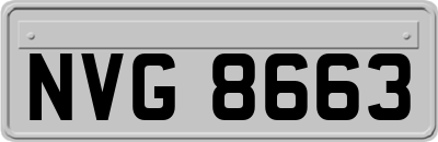 NVG8663