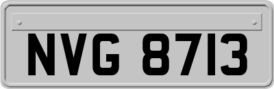 NVG8713