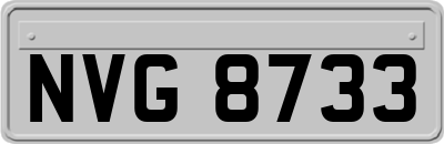 NVG8733