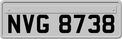 NVG8738