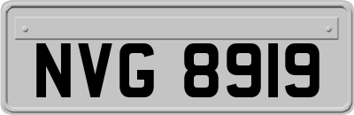 NVG8919