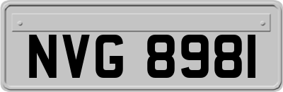 NVG8981
