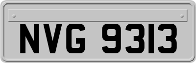 NVG9313