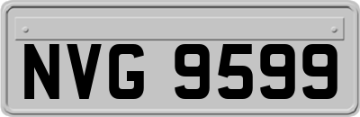 NVG9599