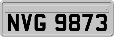 NVG9873