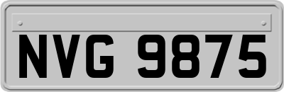 NVG9875