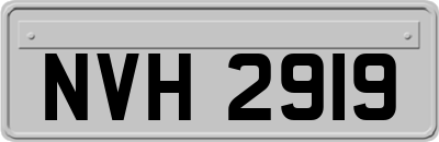 NVH2919
