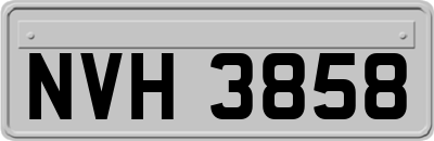 NVH3858