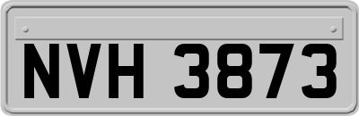 NVH3873