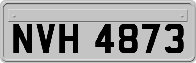 NVH4873