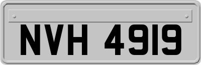 NVH4919