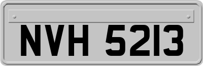 NVH5213