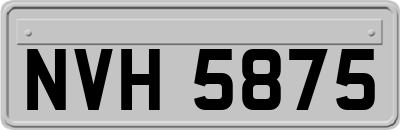 NVH5875