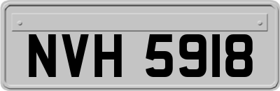 NVH5918