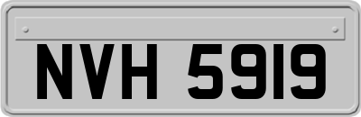 NVH5919