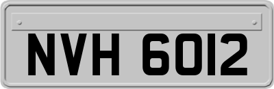 NVH6012