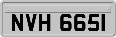 NVH6651