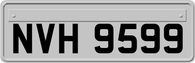NVH9599