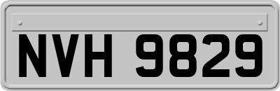 NVH9829