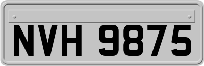 NVH9875