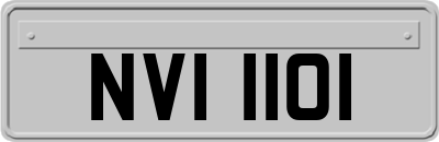 NVI1101