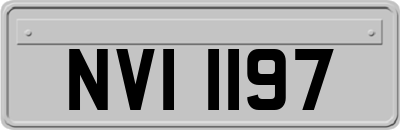 NVI1197