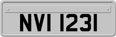 NVI1231