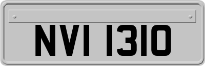NVI1310