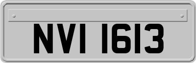NVI1613