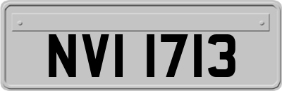 NVI1713