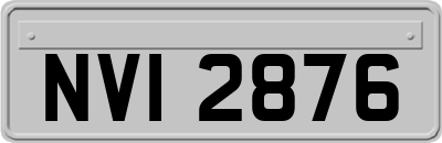 NVI2876