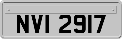 NVI2917