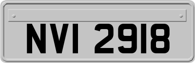 NVI2918