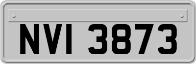 NVI3873