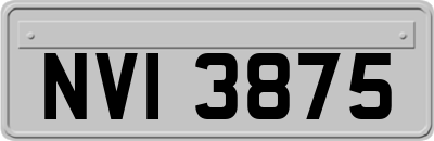NVI3875