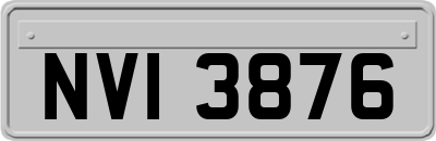NVI3876