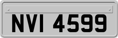 NVI4599