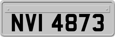 NVI4873