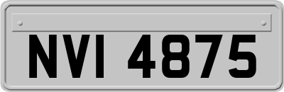 NVI4875