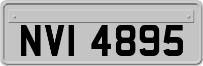 NVI4895