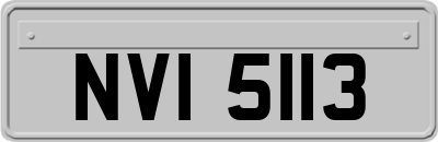 NVI5113