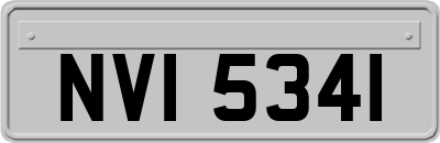 NVI5341